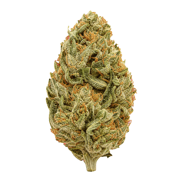 420 Evolution 25/1 PT LPC London Pound Cake Online Kaufen