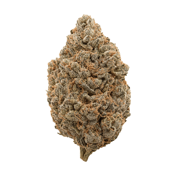 420 Compound 33/1 CA GAP Gastro Pop Online Kaufen