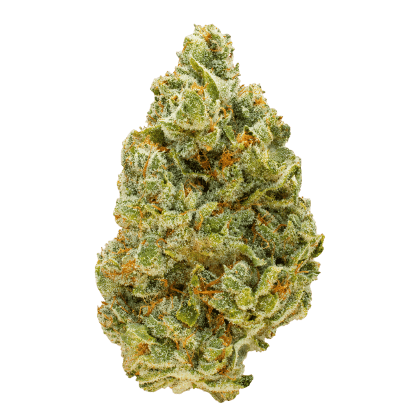 420 Evolution 27/1 CA RZY Red Rozay Online Kaufen