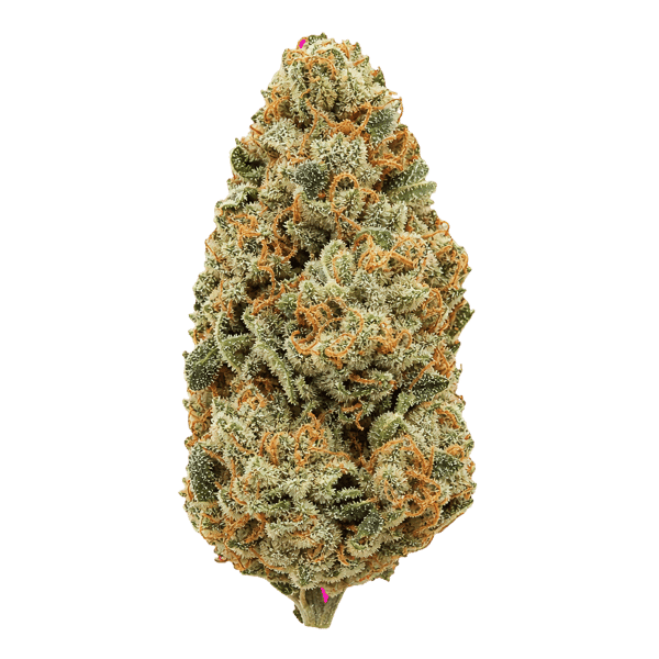 aleph fire 30/1 Amnesia Zkittlez Online Kaufen