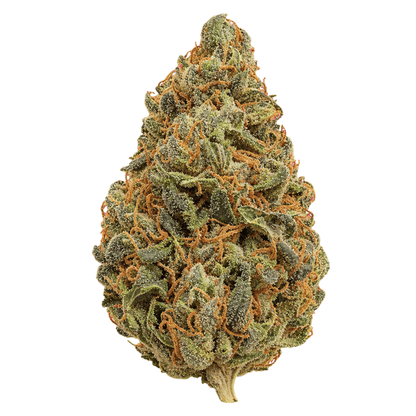 420 Natural 25/1 CA GG4 Gorilla Glue 4 Online Kaufen