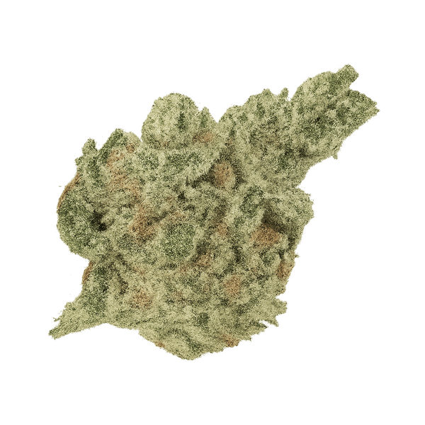420 Natural 20/1 CA GG4 Gorilla Glue 4 Online Kaufen