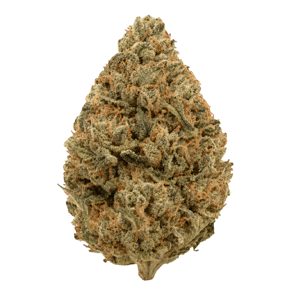aleph rose 18/1 Tropicana Cookies Online Kaufen