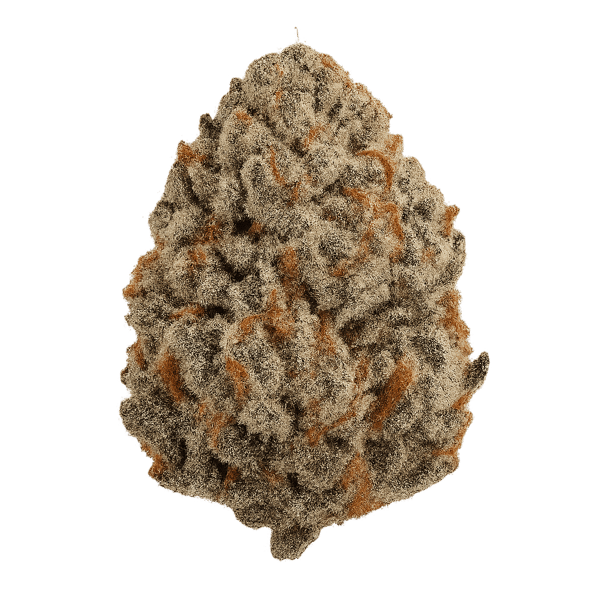 420 Evolution 33/1 CA PCH Peach Chementine Online Kaufen