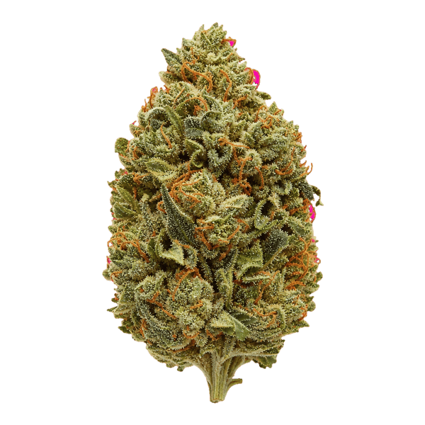 AMP ACT-GM TCG THC20 Trop Cherry Gas Online Kaufen