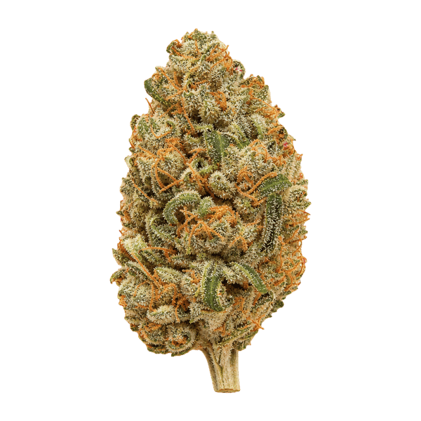 All Nations LT 30/1 Lemon Tartz Online Kaufen