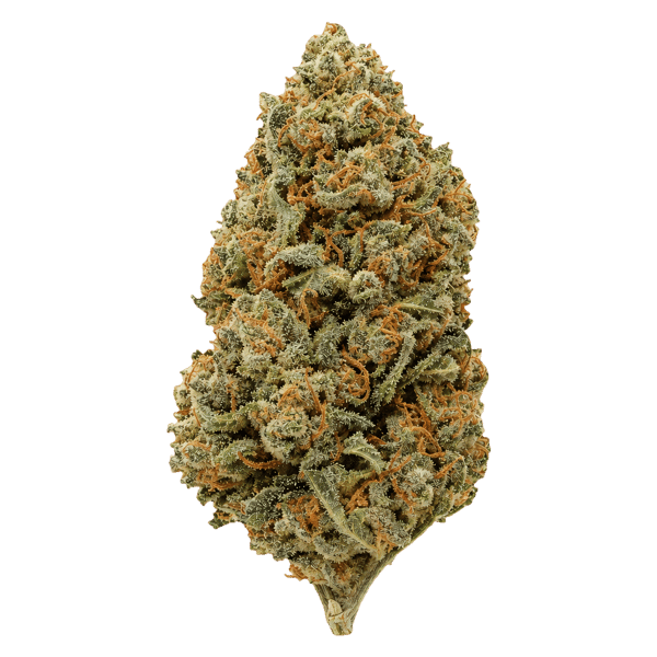 avaay Khalifa 24/1 KK Khalifa Kush Online Kaufen
