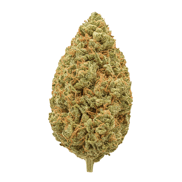 Beacon PK T22 Pink Kush Online Kaufen