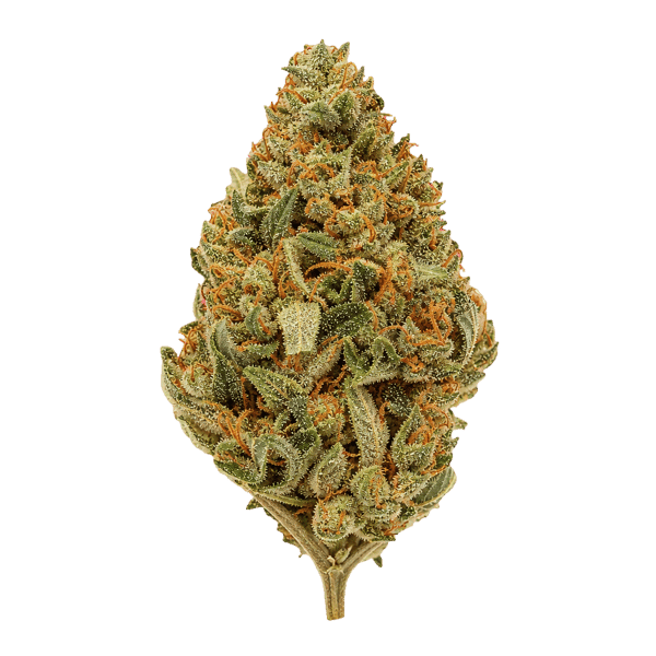 Beacon SCP T32 Sweet Cherry Pie Online Kaufen