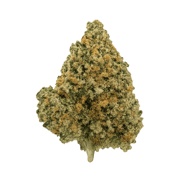 Bedrocan DAB 2018 Cannabis Flos 25/1 Afina Online Kaufen