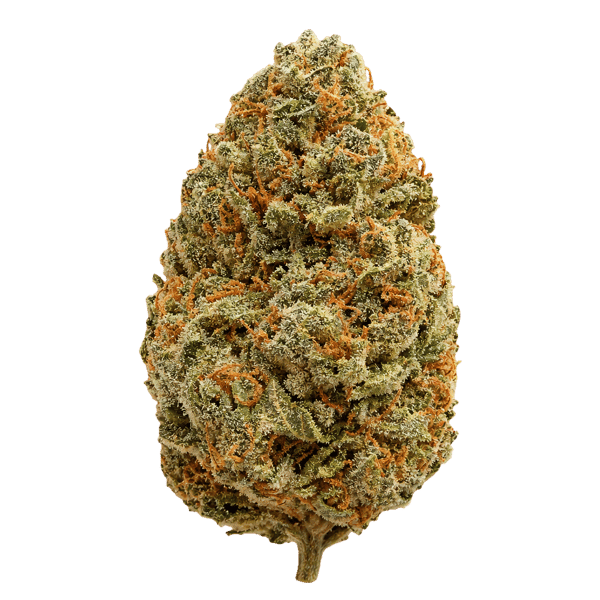 Canify 25/1 CSF Ku. Carnez Citric Online Kaufen