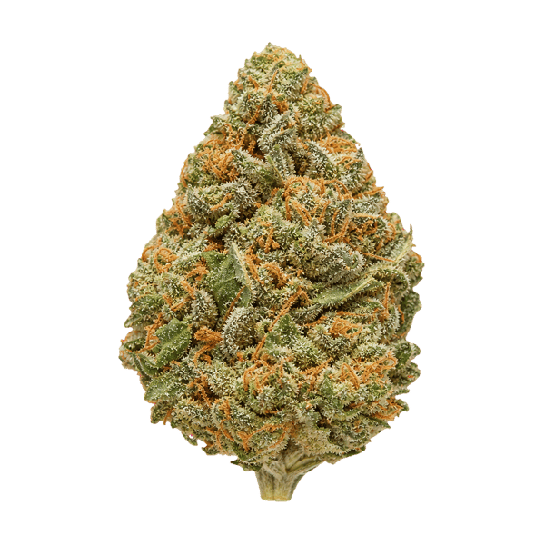 Cannabis Flos 10/12 LS Ku Basotho Even Online Kaufen