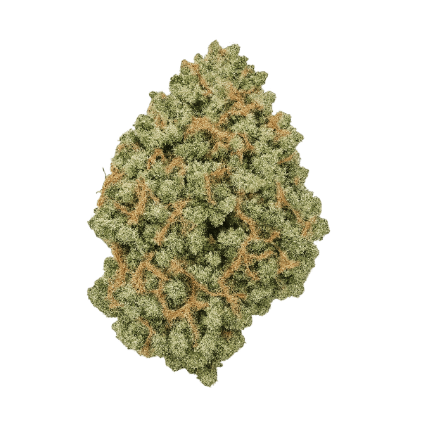 Cannabis 1A 18/1 White Widow Online Kaufen