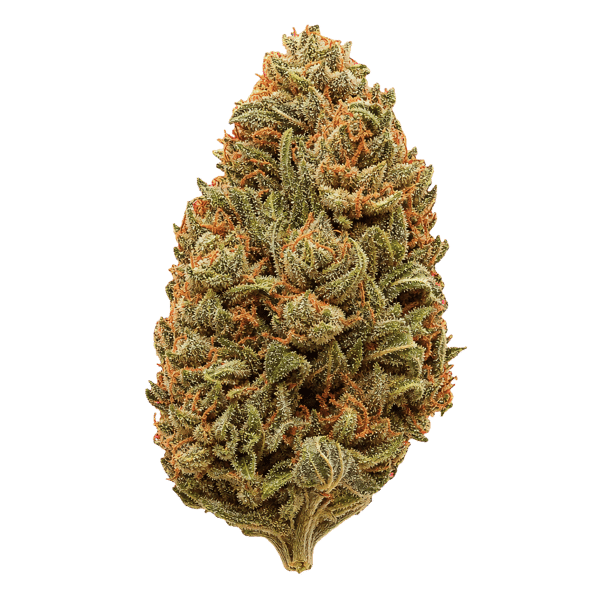 Cannabis flos 24/1 CZE Platinum Garlic Online Kaufen