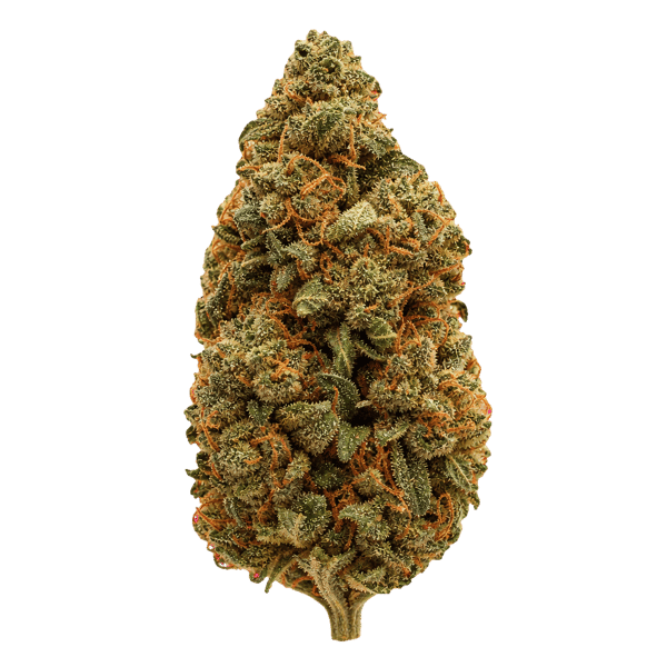Cannabis Flos 27/1 CSF Ku. Solpina Magic Online Kaufen