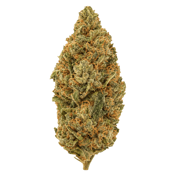 Cannamedical Sativa Forte NM Amsterdam Amnesia Online Kaufen