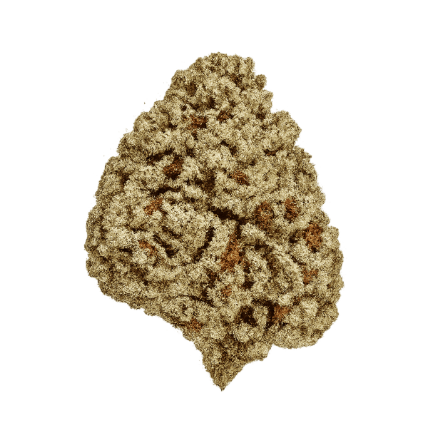 Cannamedical CM 24/1 BRY Strawberry OG Online Kaufen