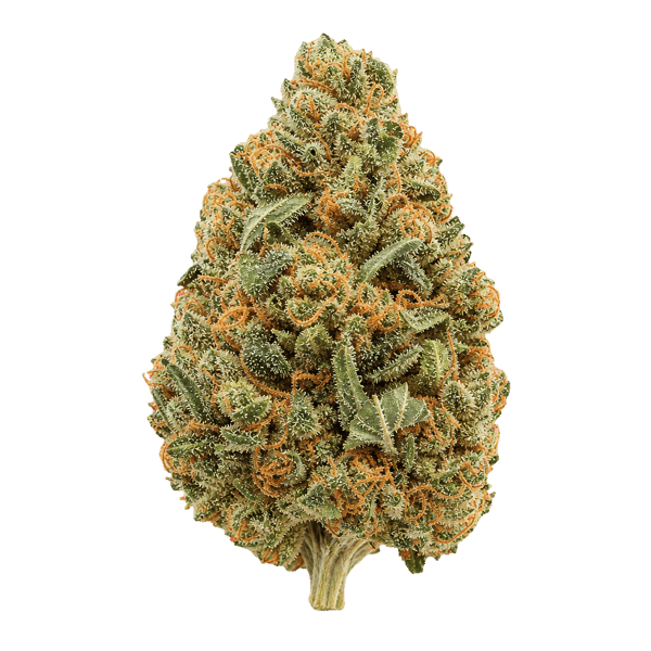 Cannamedical Hybrid Forte KA Citral Pop Online Kaufen