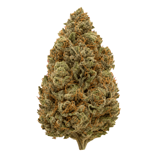 Cannamedical Indica Forte DK 22/1 Gelat Skyfloater Online Kaufen