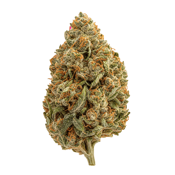 Cannamedical Indica light ZAF SL Strawberry Lemonade Online Kaufen
