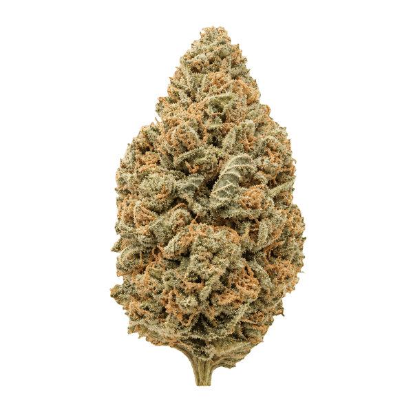 Cannabis flos 28/1 CSF Ku. Cape Venin Online Kaufen