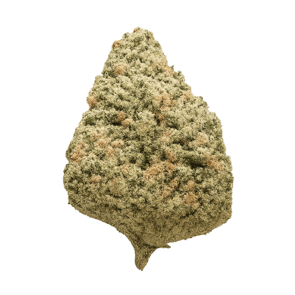 Cannamedical CM 24/1 CRM Creamy Kees No.5 Online Kaufen