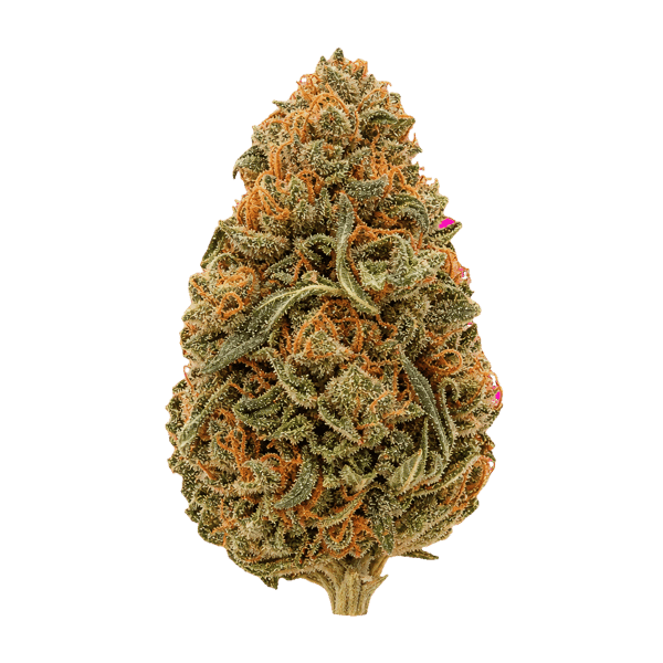 Cannamedical Hybrid Forte KA GL Gelato Lemon Online Kaufen