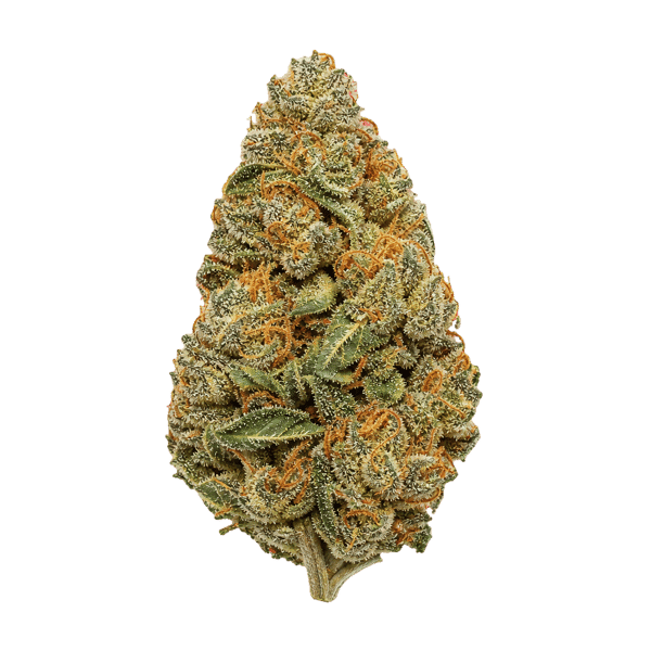 CherryCo THC 23 Sativa Skyflow Ghost Online Kaufen