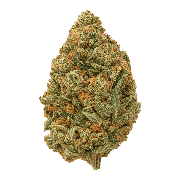 CannGo 28/1 WG Vegas Wedding Cake Online Kaufen