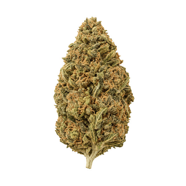 Canopy JHA 21/1 Jack Haze Online Kaufen