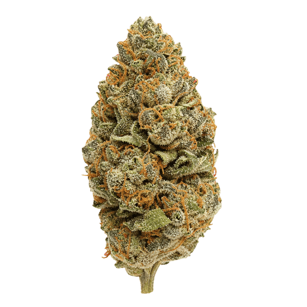 CannXChange CC 25/1 Cheddar Cheeze Online Kaufen