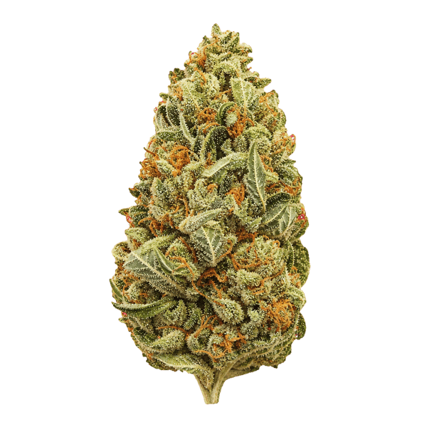 Daily Special 27/1 LES Lemon Sorbet Online Kaufen