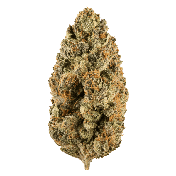Demecan Craft Electron 31:01 Gelato x OG Kush Online Kaufen