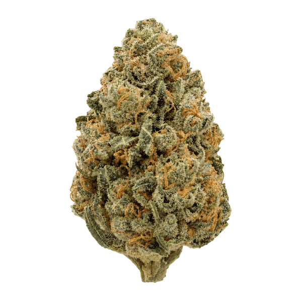 Endo Canna 27/1 AB Apple Betty Online Kaufen