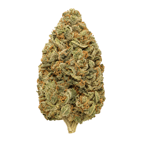 enua 30/1 BC CA Cap Junky Online Kaufen