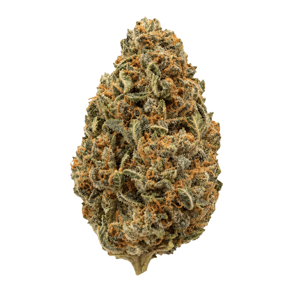 enua 30/1 PS3 CA JFG Jet Fuel Gelato Online Kaufen