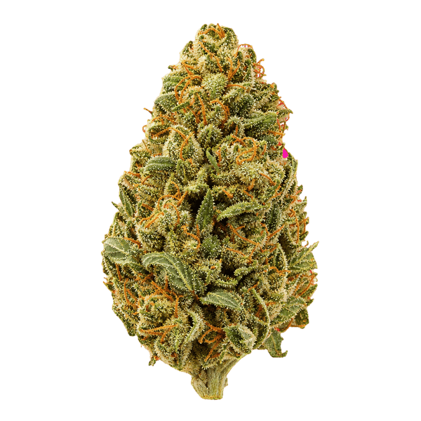 Fast Leaf 33/1 SMH Sour Mintz Haze Cannabis Blüte Online Kaufen