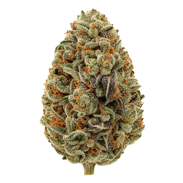 HiDealz 18/1 MS LSK Lemon Skunk Kush Online Kaufen