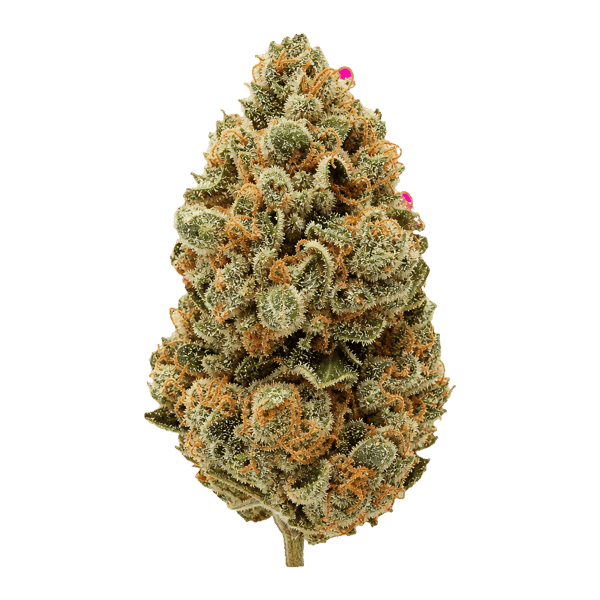 Green Mile 27/1 GSC Girl Scout Cookies Online Kaufen