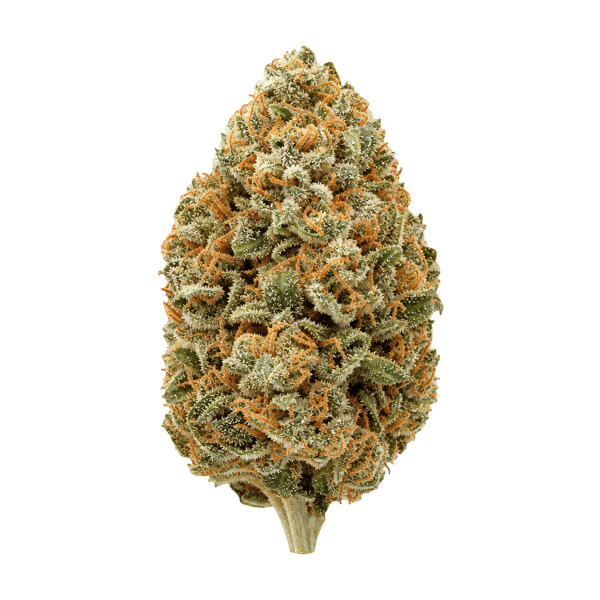 IMC Mids TC 25/1 Tropic Candy Online Kaufen