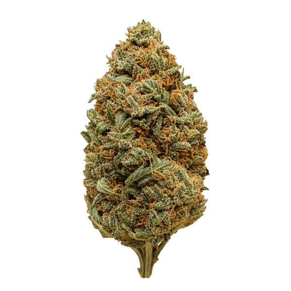 IMC Outdoor OG Kush 28/1 OG Kush Online Kaufen