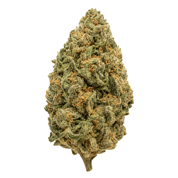Luana 24/1 APE Sour Ape Online Kaufen