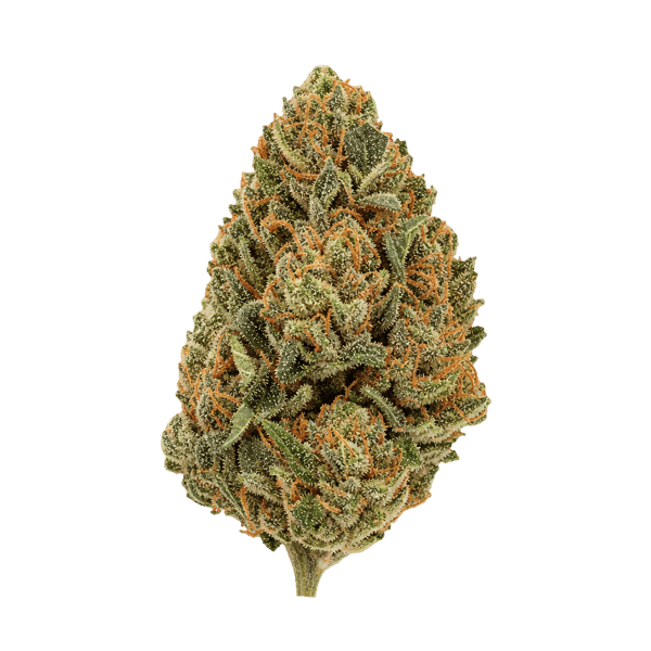Luana 20/1 SOG Starhaze OG Online Kaufen