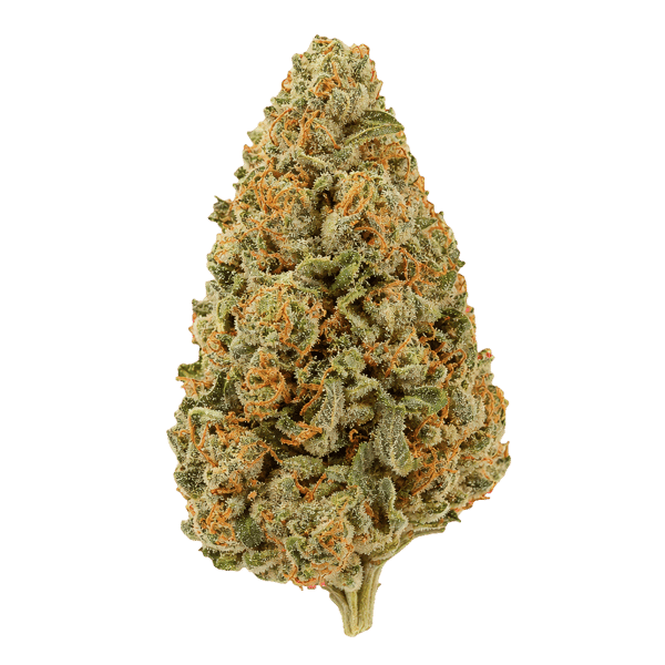 madrecan 27/1 GB9 Garlic Budder Online Kaufen
