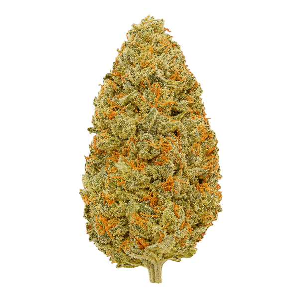 Medical Saints 21/1 USR Ultra Sour Online Kaufen