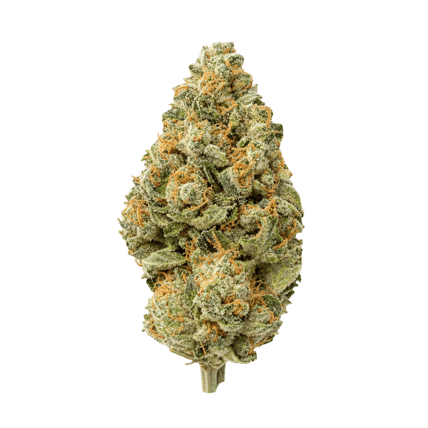 Medical Saints 27/1 LEM Lemonatti Online Kaufen
