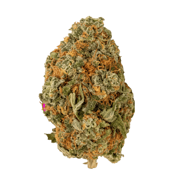 NICE 30/1 LK Lemon Kush Online Kaufen