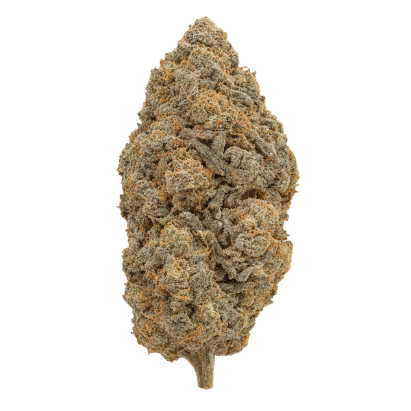 NICE 27/1 KM Kush Mints Online Kaufen