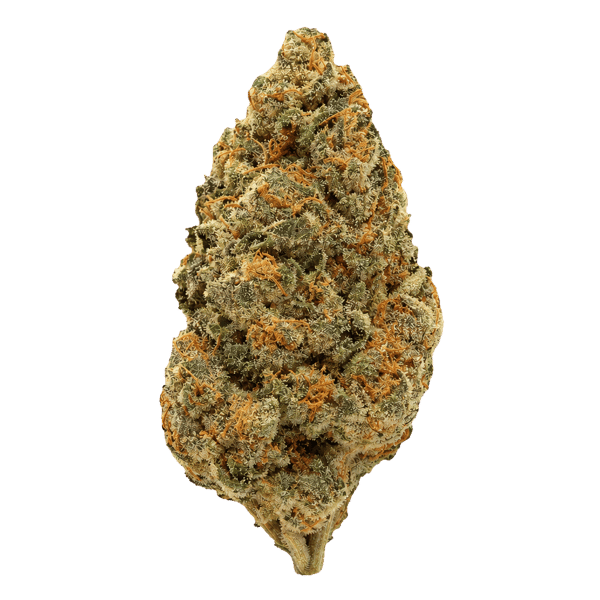 NICE 28/1 GSC Girl Scout Cookies Online Kaufen