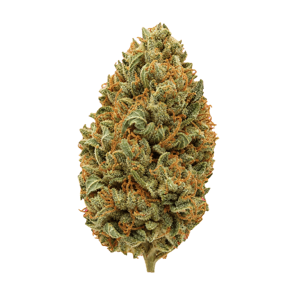Origine Nature CHEM 29/1 Chemdawg OG Online Kaufen